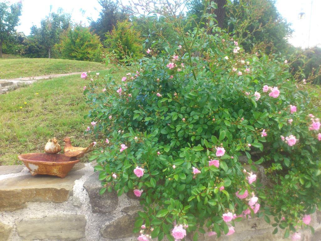 Bed and Breakfast Poggio Dei Prugnoli Tavoleto Exterior foto
