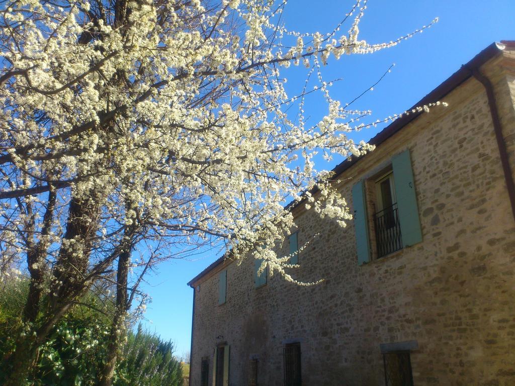 Bed and Breakfast Poggio Dei Prugnoli Tavoleto Exterior foto